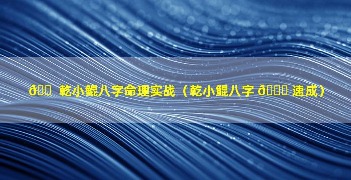 🐠 乾小鲲八字命理实战（乾小鲲八字 🐟 速成）